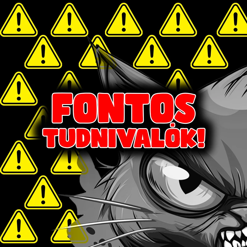 Tudnivalók – Pirotechnikai termékek vásárlása, használata és szabályai